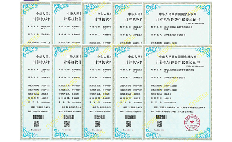 10个计算机软著
