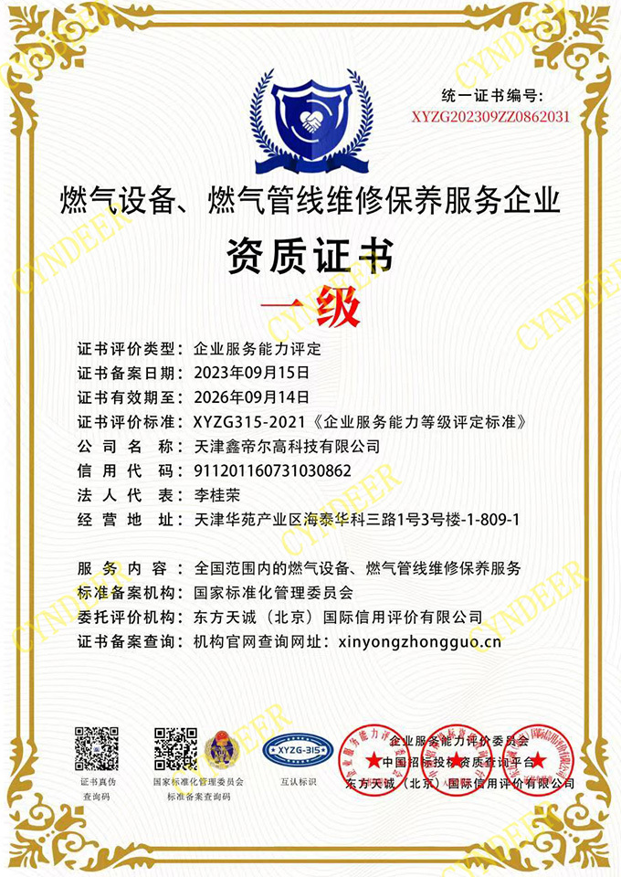 燃气设备燃气管线维修保养服务一级